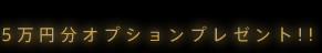 5万円分オプションプレゼント!!