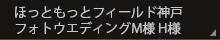 ほっともっとフィールド神戸フォトウエディングM様H様