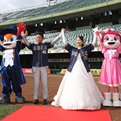 スタジアムウエディング ほっともっとフィールド神戸