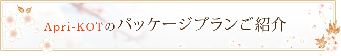 Apri-KOTの パッケージプランご紹介