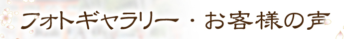 フォトギャラリー・お客様の声